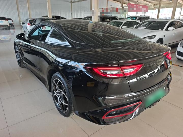 Neta GT 2023 560 Lite photo 4
