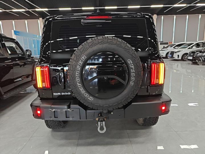 300 2024 2.0T Conqueror photo 5