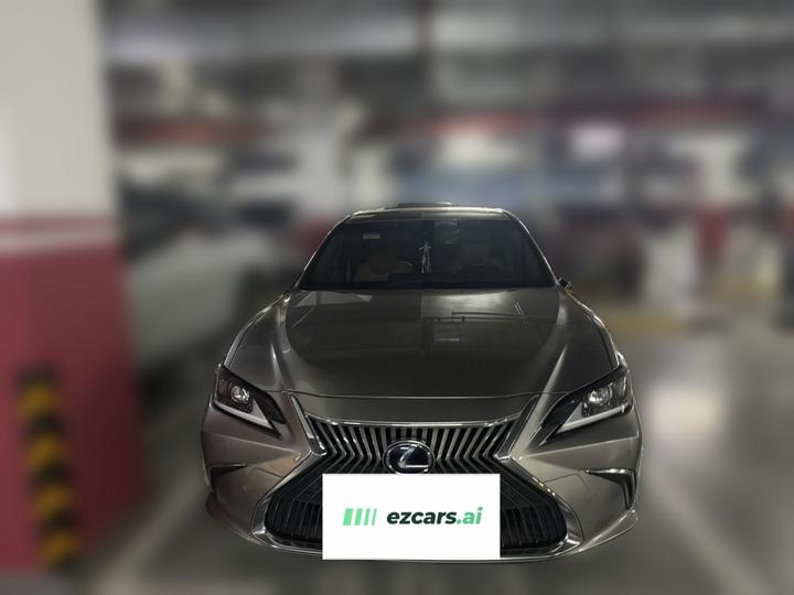 ES 2018 300h Excellence China VI photo 2