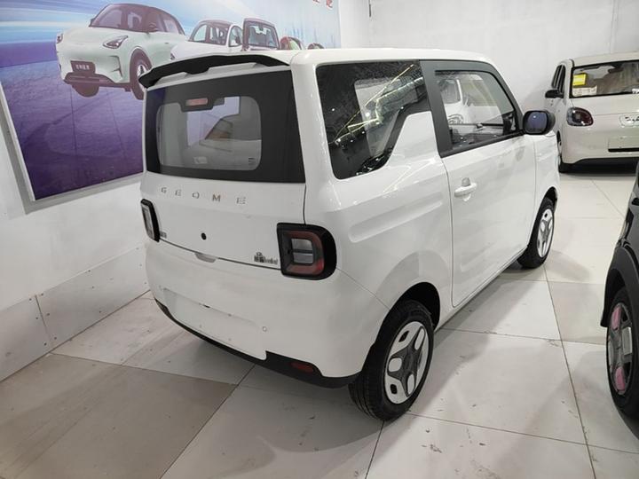 2025 Panda mini 210km Yuan photo 4