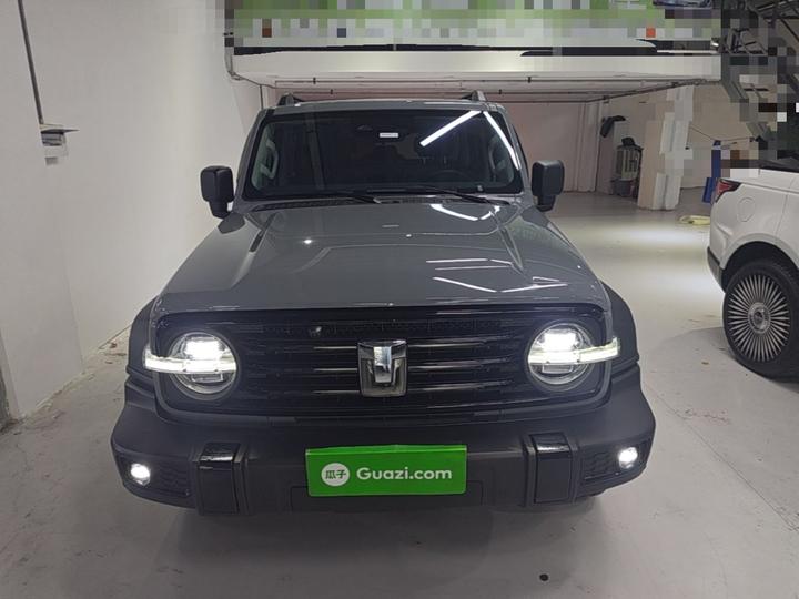 300 2023 Off-road 2.0T Conqueror photo 2