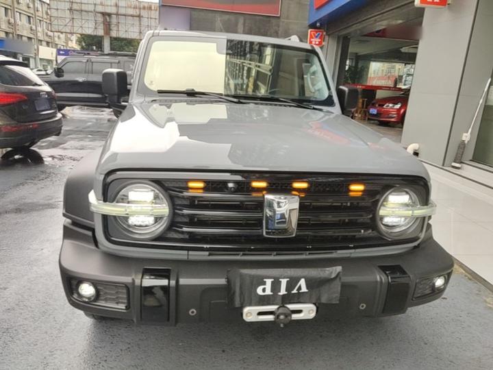 300 2021 Off-road 2.0T Conqueror photo 2