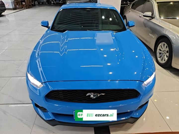 Mustang Parallel Import photo 2