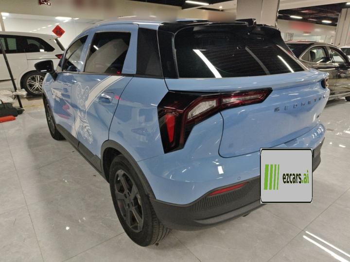 E Firefly 2022 401KM 4-Seater photo 4