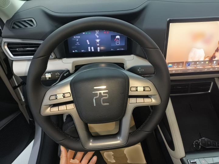 Yuan UP 2025 ADAS 401KM photo 6