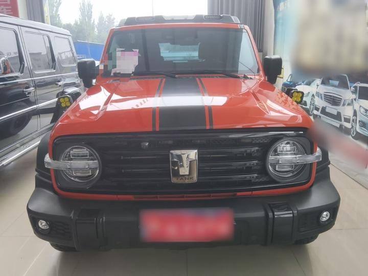 300 2021 Off-road 2.0T Conqueror photo 2