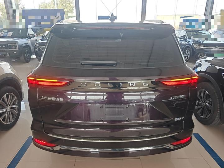 Wuling 2023 2.0L DHT photo 5