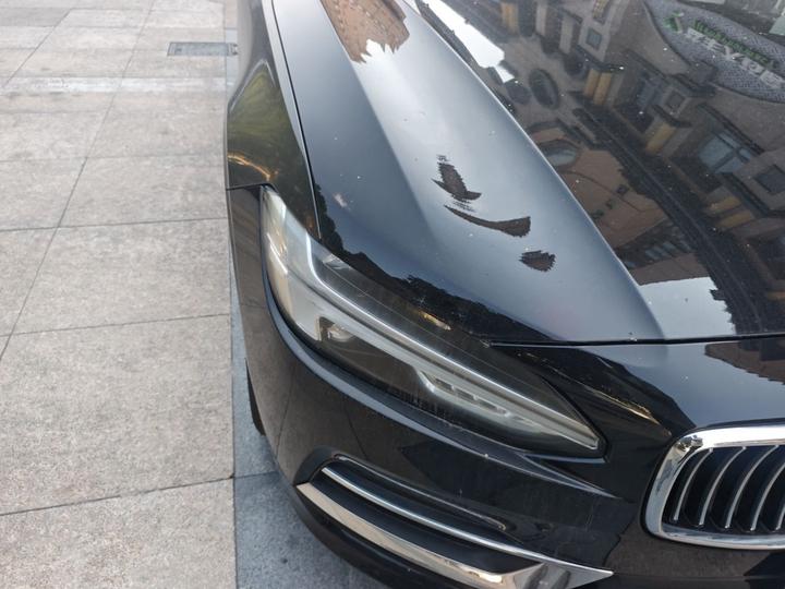 S90 2019 T5 photo 7