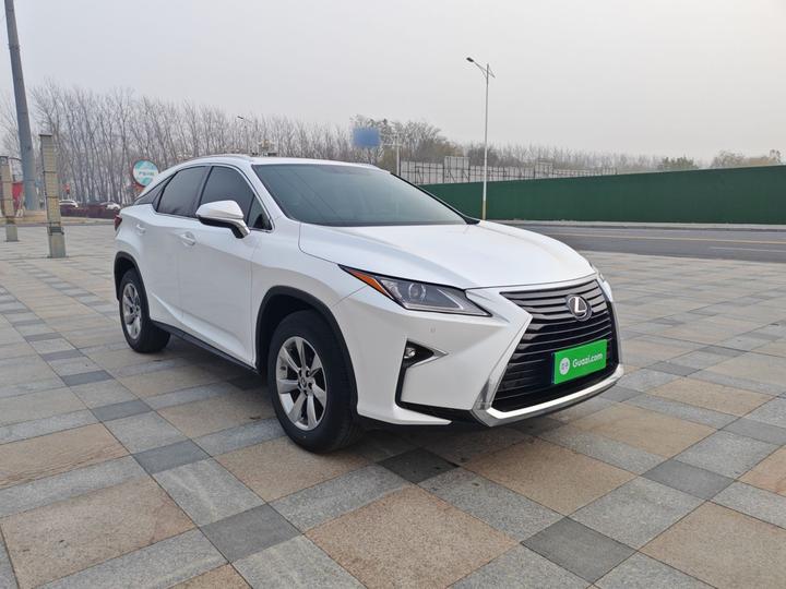 RX 2016 300 RWD Elite China V photo 3