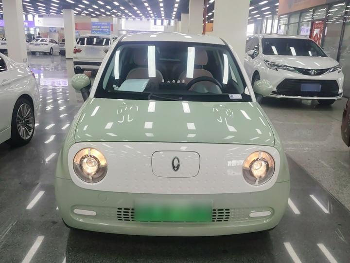 2022 Facelift 301km LFP photo 2