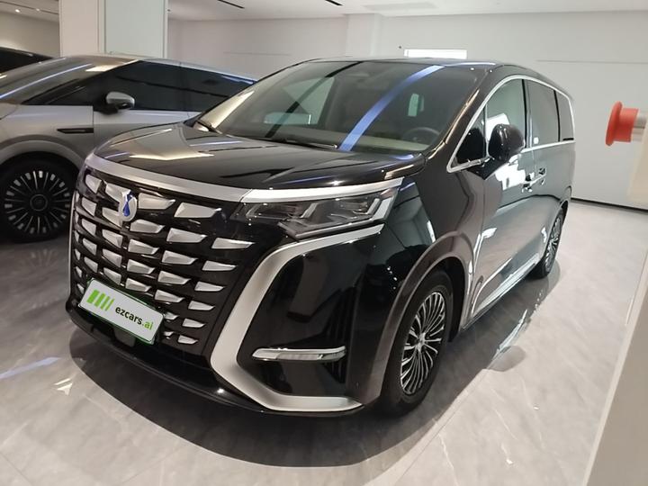D9 2024 DM-i 980 AWD Premium