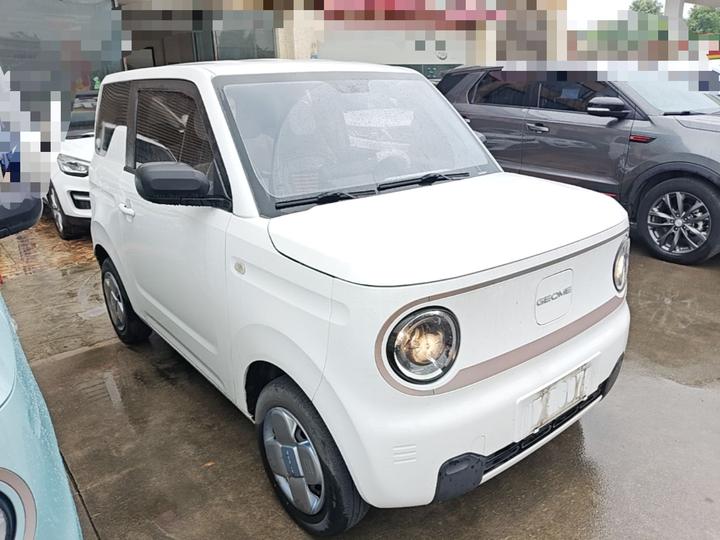 2023 Panda mini 200km Endurance Bear photo 3
