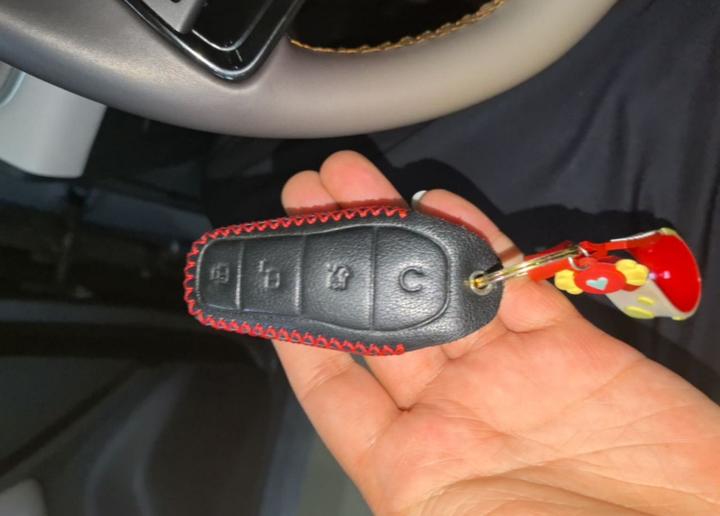Song Pro EV 2024 Honor DM-i 110KM photo 8