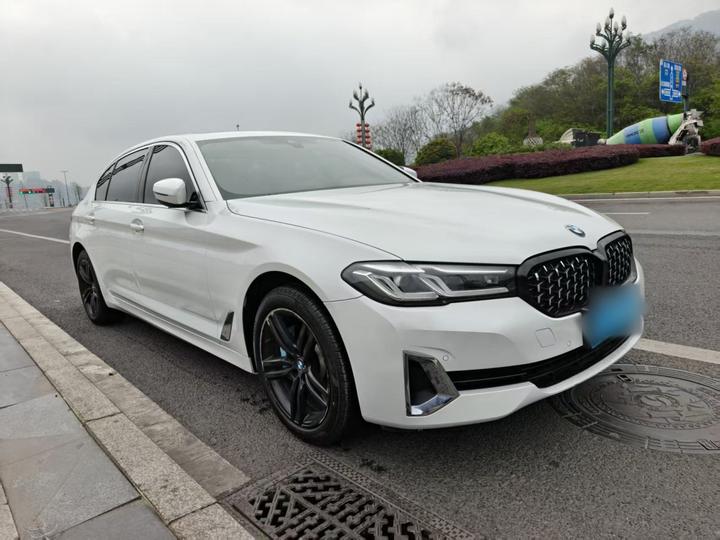 5 Series 2021 Facelift 530Li Leading Luxury photo 3