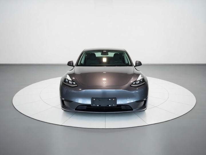 Model Y 2021 Long Range AWD photo 2