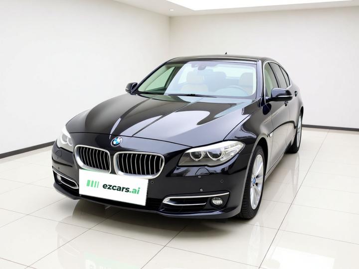 5 Series 2017 525Li Luxury Design Package photo 2