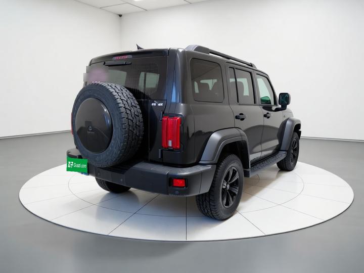 300 2021 Off-road 2.0T photo 6