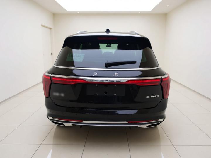 E-HS9 2021 510km 4-Seater photo 5
