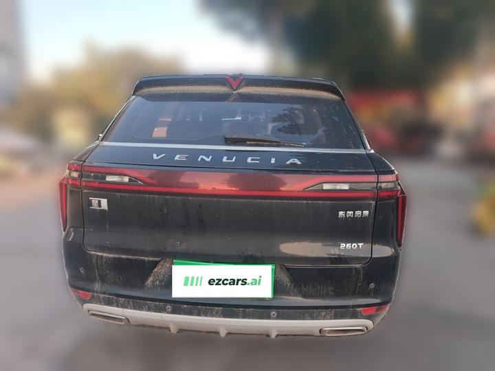 2021 260T AT 48V Mild Hybrid photo 5