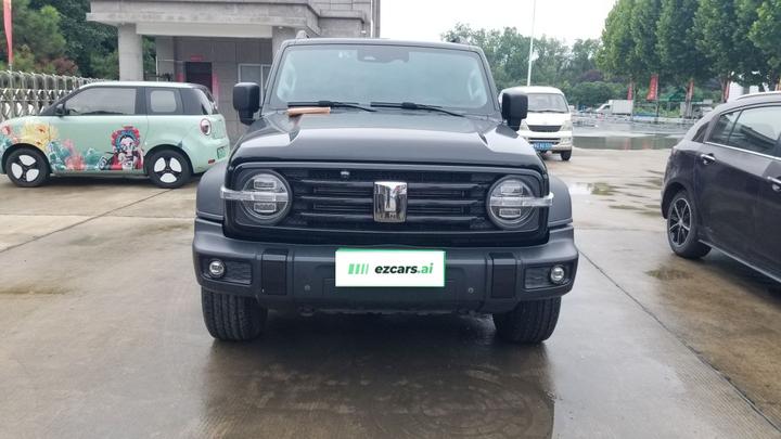 300 2023 Off-road 2.0T Conqueror photo 2