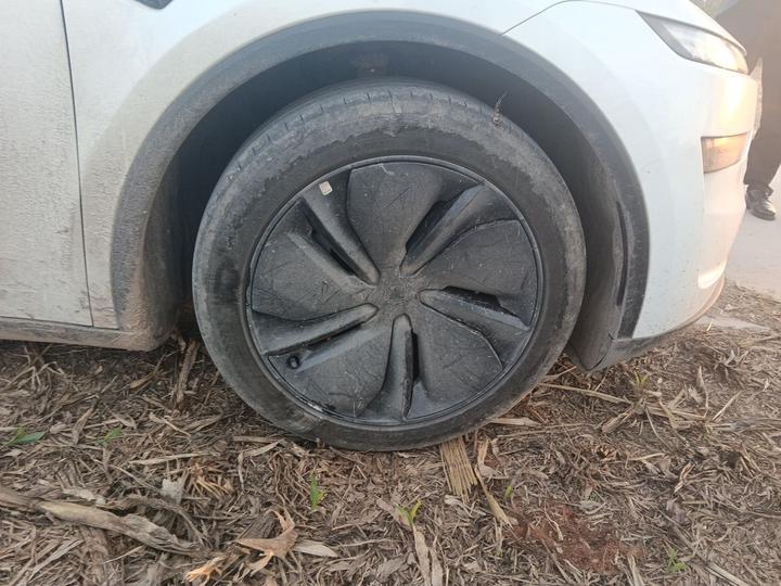 Model Y 2026 RWD photo 8