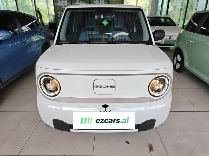 2023 Panda mini 200km Endurance Bear photo 2