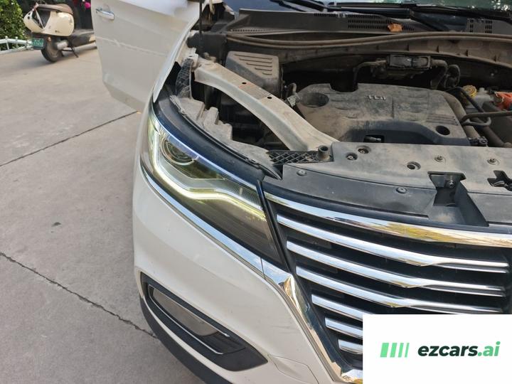 RX5 EV 2017 eRX5 50T Hybrid Premium Flagship photo 7