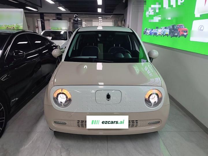 2021 351km Luxury photo 2
