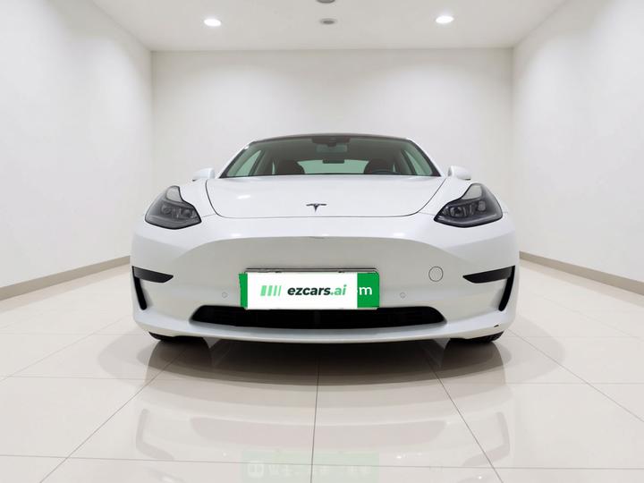 Model 3 2021 Standard Range RWD Upgraded 3D6 photo 2