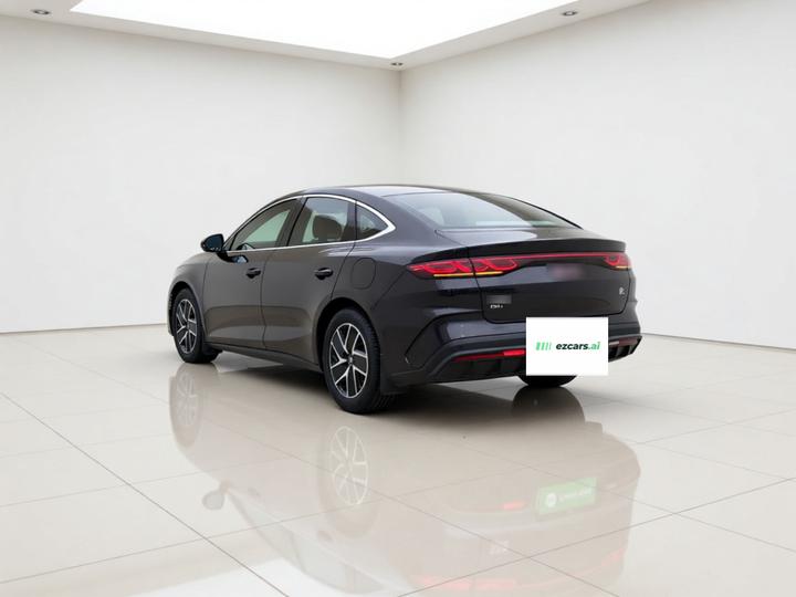 Qin L 2024 DM-i 80KM photo 4
