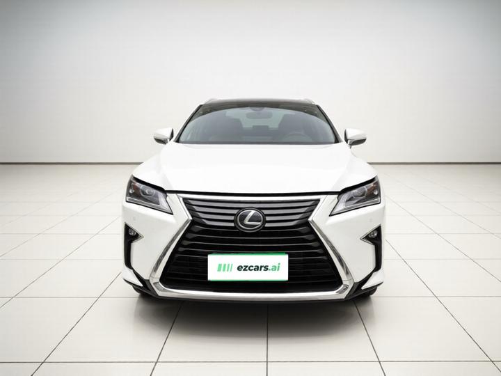 RX 2016 300 RWD Elite China V photo 2