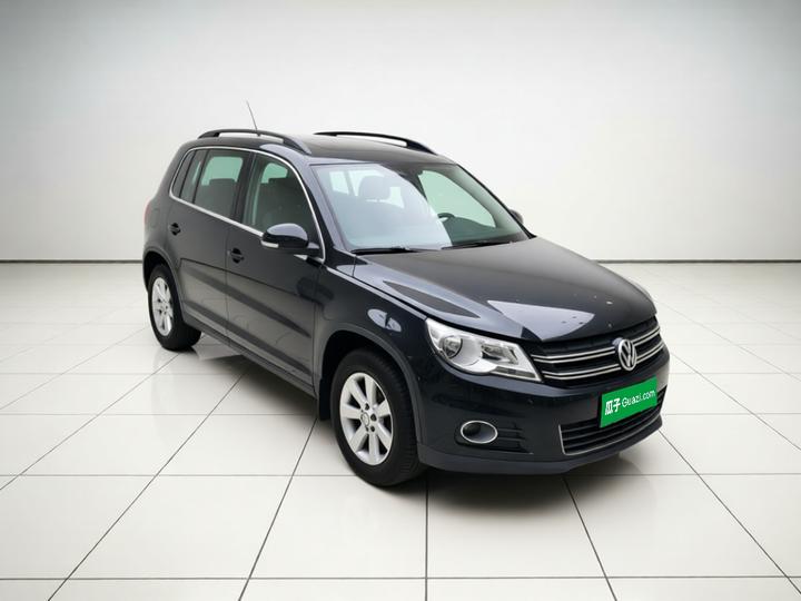 Tiguan 2010 1.8TSI AT RWD photo 3