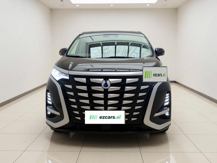 D9 2022 DM-i 970 AWD Noble photo 2
