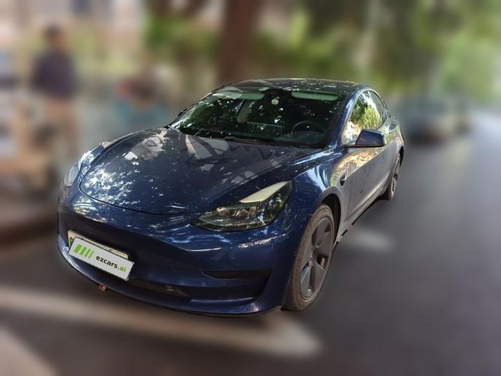 Model 3 2021 Standard Range RWD Upgraded 3D6
