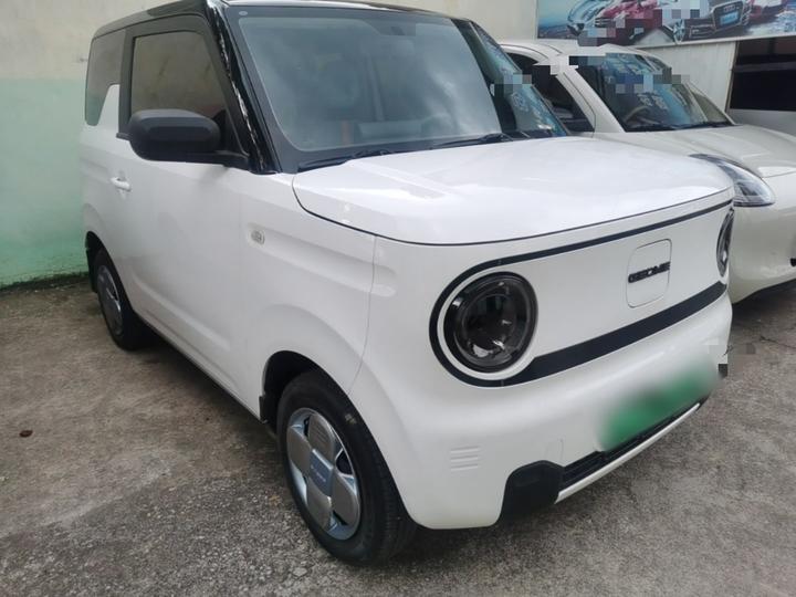 2023 Panda mini 200km Endurance Bear photo 3