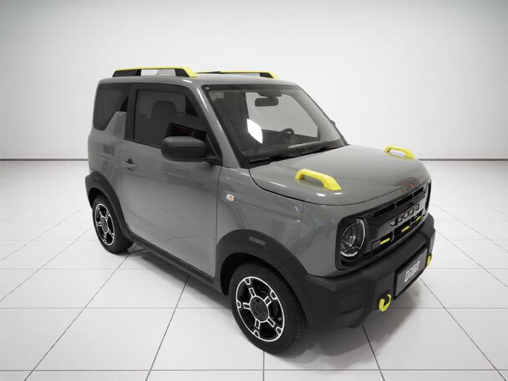 2023 Panda mini photo 3