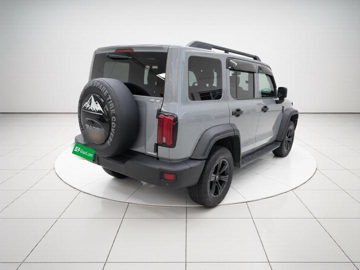 300 2021 Off-road 2.0T Conqueror photo 6