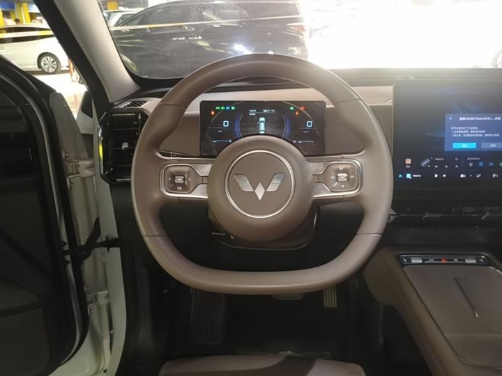 560 EV 2026 125km Luxury photo 6