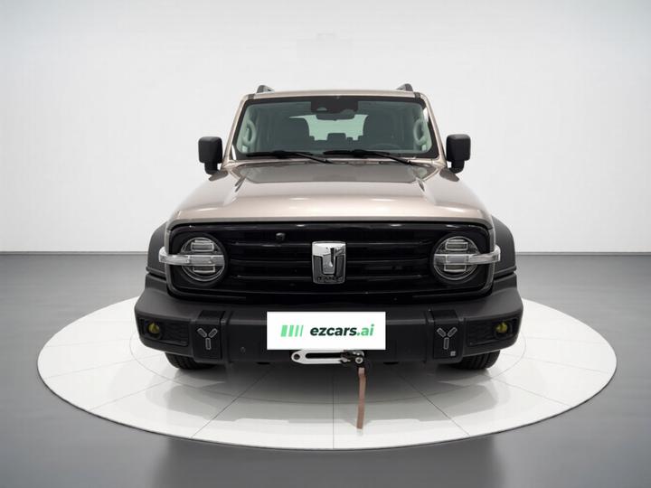 300 2021 Off-road 2.0T Conqueror photo 2