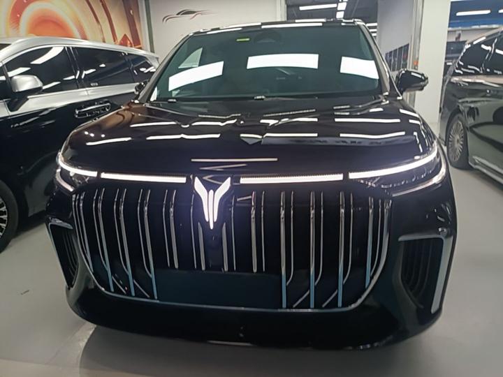Voyah Dreamer 2024 PHEV Extended Range Flagship photo 2