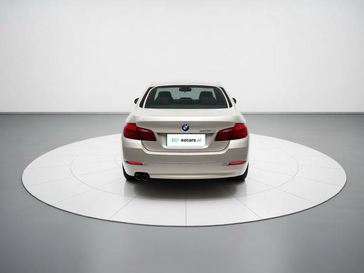 5 Series 2017 525Li Luxury Design Package photo 5