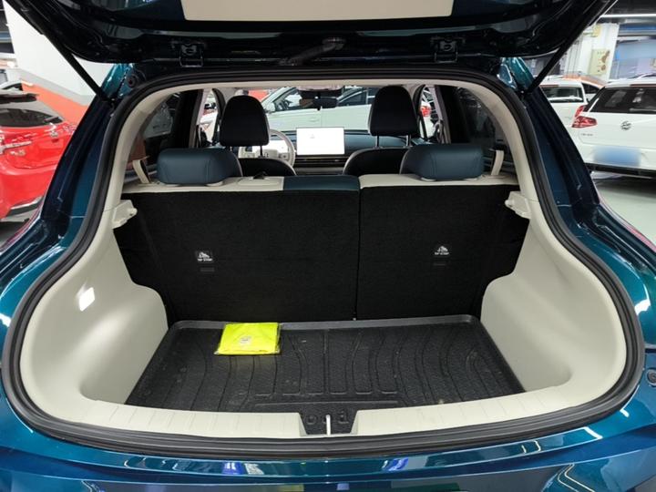 Good Cat 2025 430km Luxury photo 8