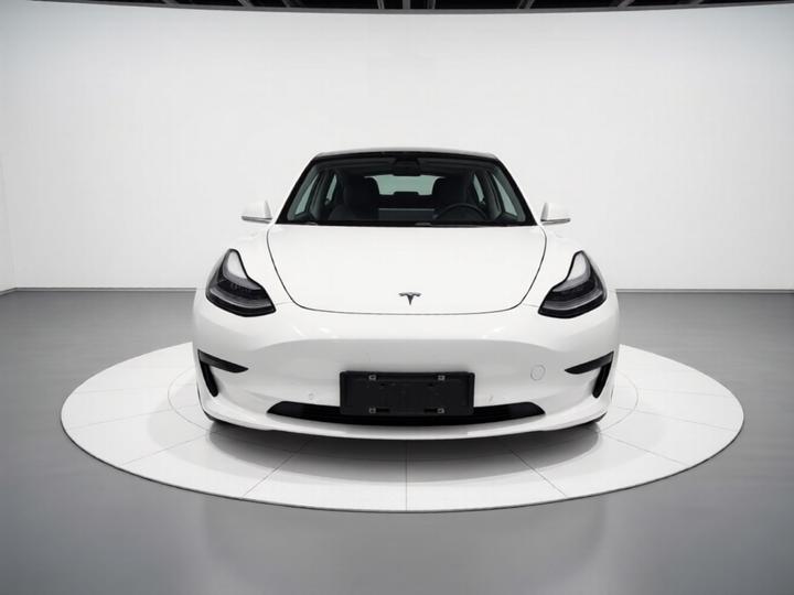 Model 3 2019 Standard Range RWD Upgraded photo 2