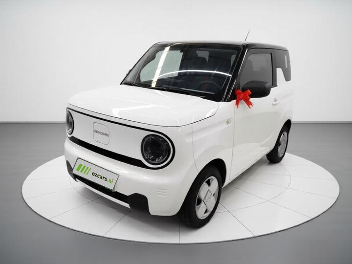 2024 Panda mini 200km Endurance Bear
