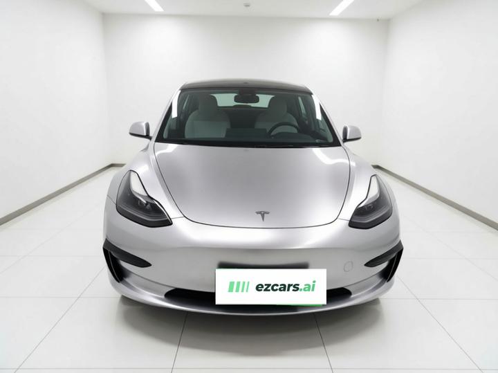 Model 3 2021 Facelift Standard Range RWD Upgraded 3D1 photo 2