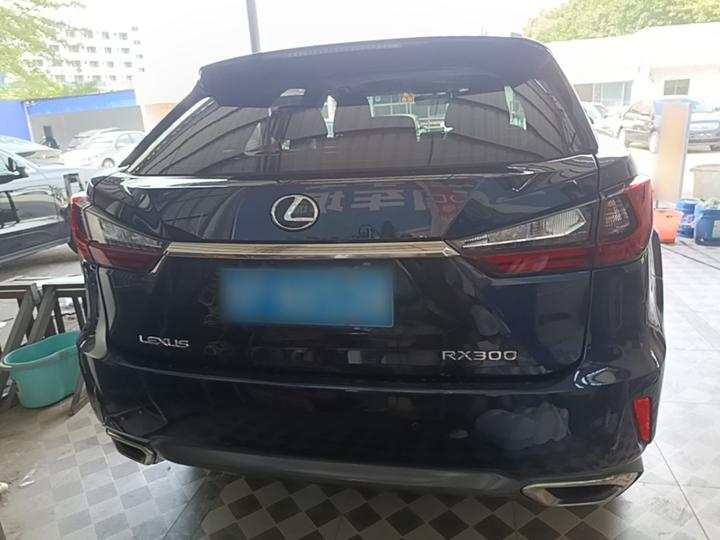 RX 2016 300 RWD Elite China V photo 5