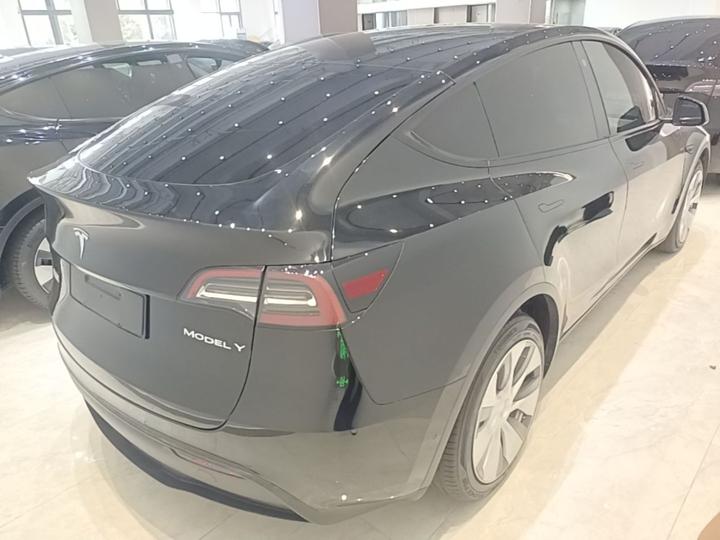 Model Y 2021 Long Range AWD photo 6