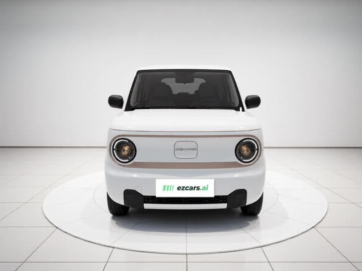 2024 Panda mini 200km Endurance Bear photo 2