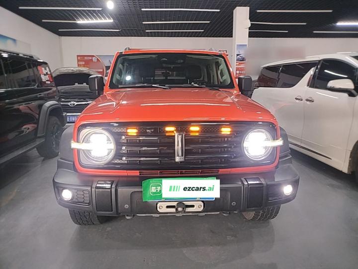 300 2021 Off-road 2.0T Conqueror photo 2