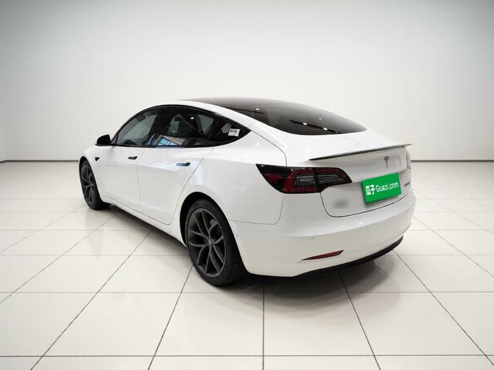 Model 3 2021 Performance AWD photo 4